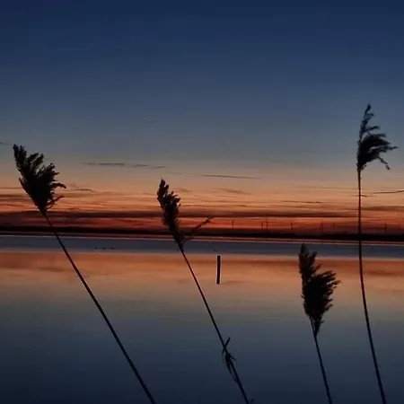 Seeliebe, 300 Meter Zum Wasser, Mit Terrasse Und Garten 公寓