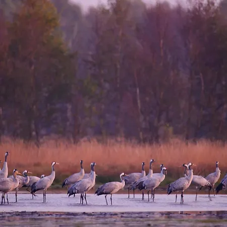 Seeliebe, 300 Meter Zum Wasser, Mit Terrasse Und Garten *