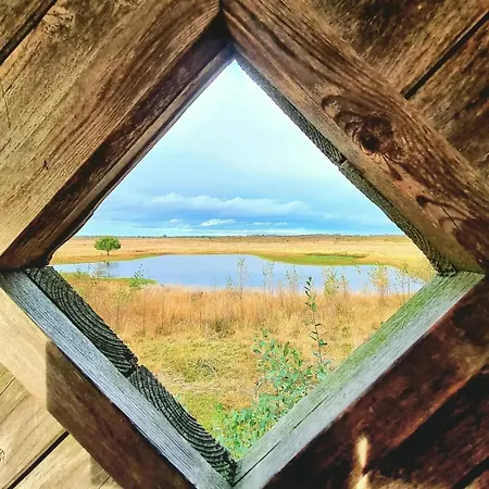 Seeliebe, 300 Meter Zum Wasser, Mit Terrasse Und Garten Apartment *