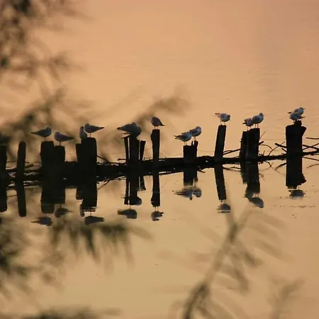 公寓 Seeliebe, 300 Meter Zum Wasser, Mit Terrasse Und Garten 伦布鲁