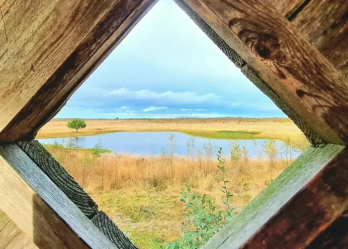 Seeliebe, 300 Meter Zum Wasser, Mit Terrasse Und Garten Апартаменты *