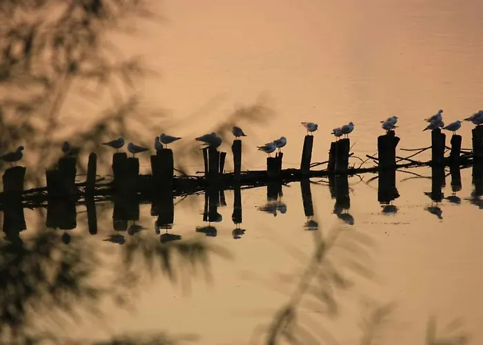 Appartamento Seeliebe, 300 Meter Zum Wasser, Mit Terrasse Und Garten Lembruch